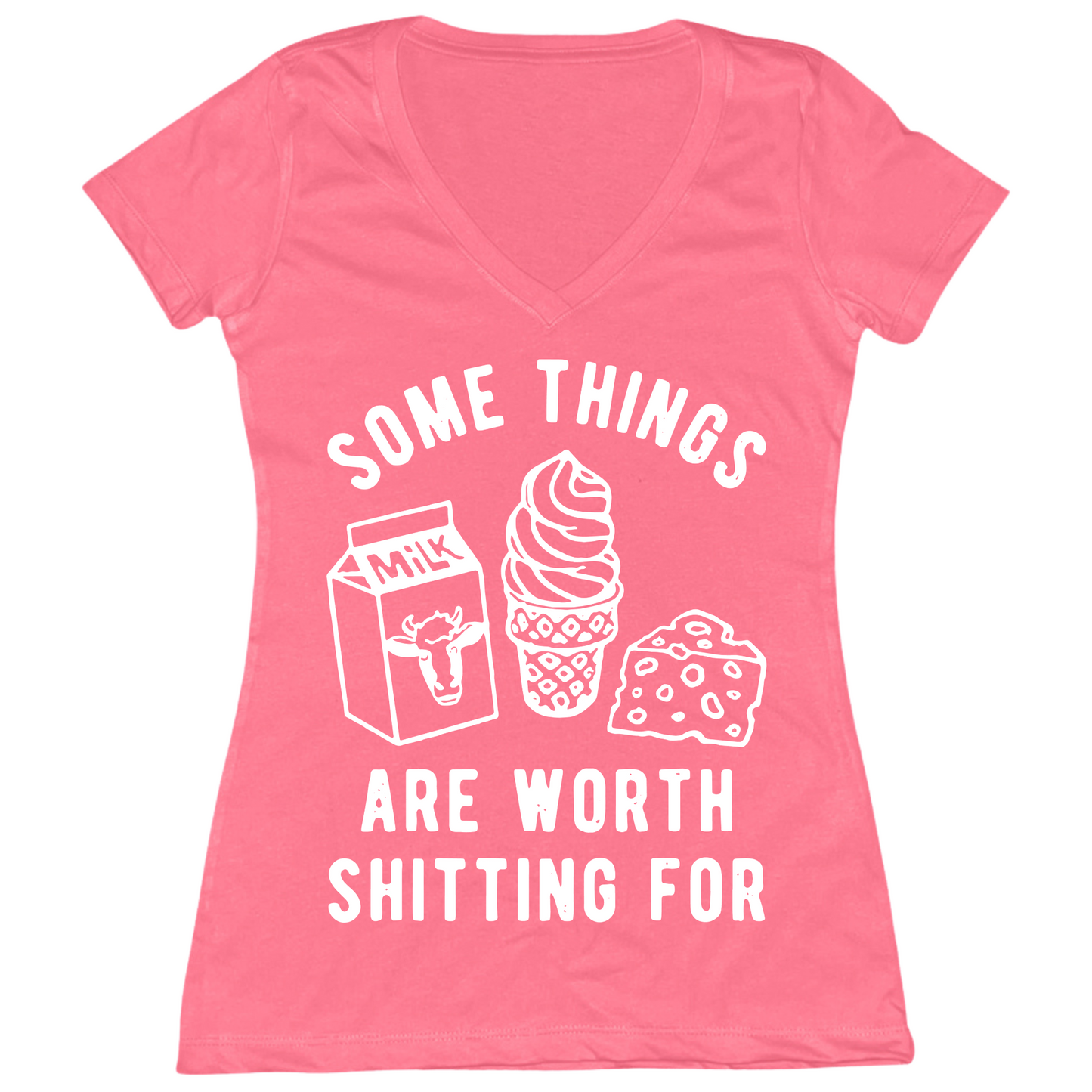 Some Things Worth Shitting For Womens V-Neck Tee