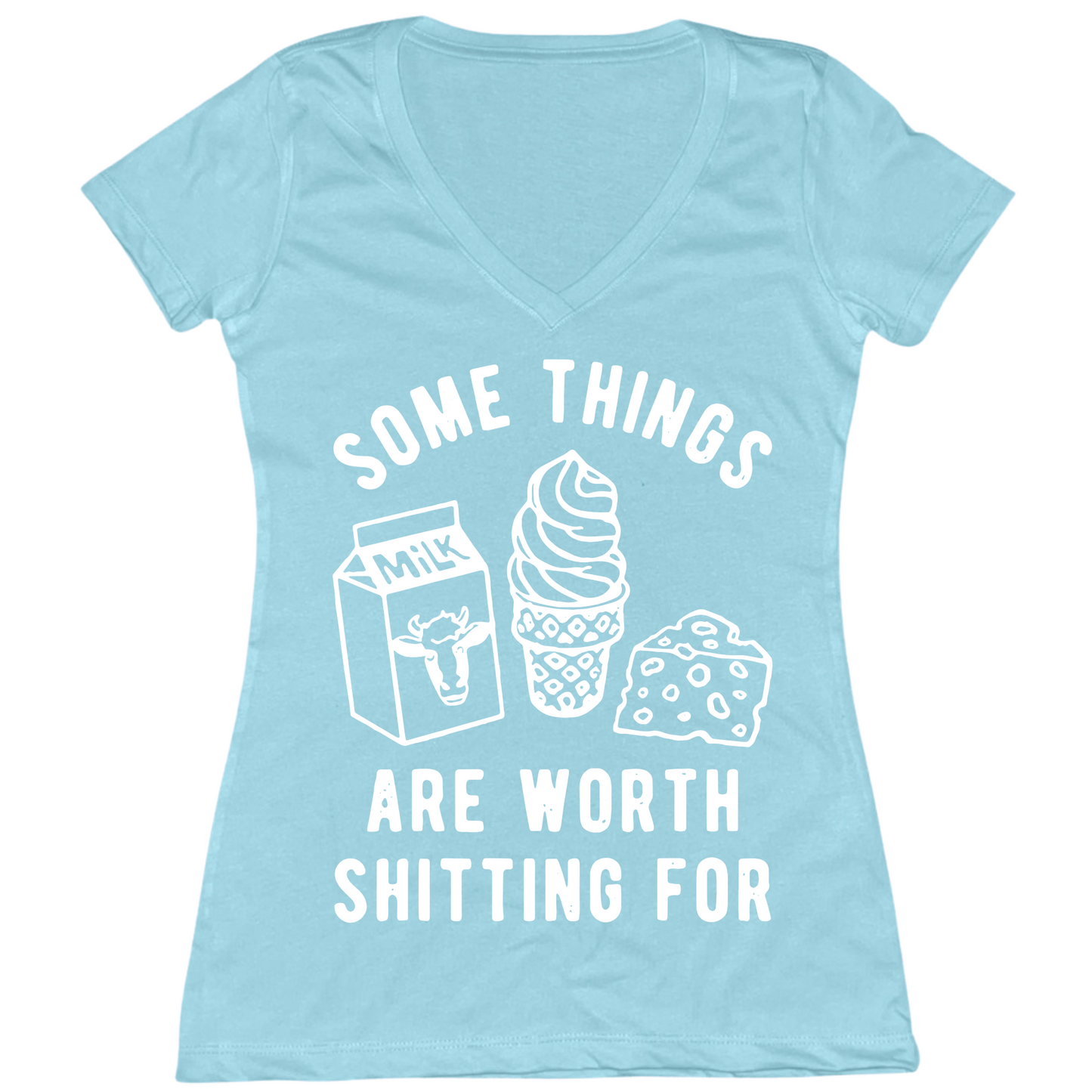 Some Things Worth Shitting For Womens V-Neck Tee