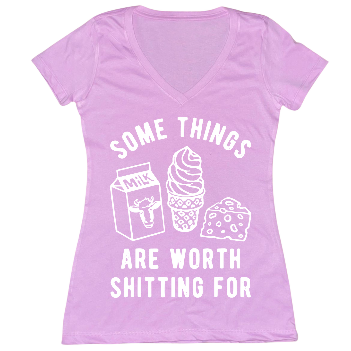 Some Things Worth Shitting For Womens V-Neck Tee