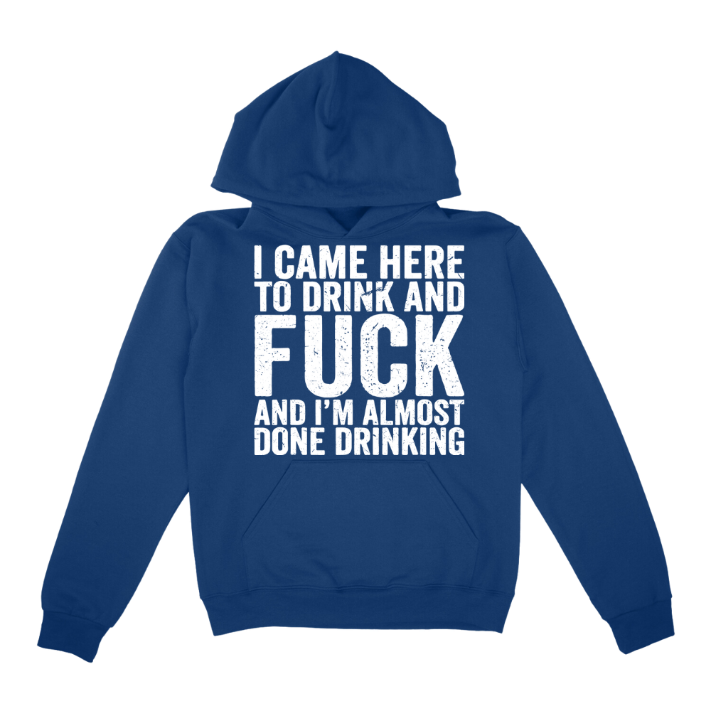 I Came Here To Drink And Fuck Hoodie