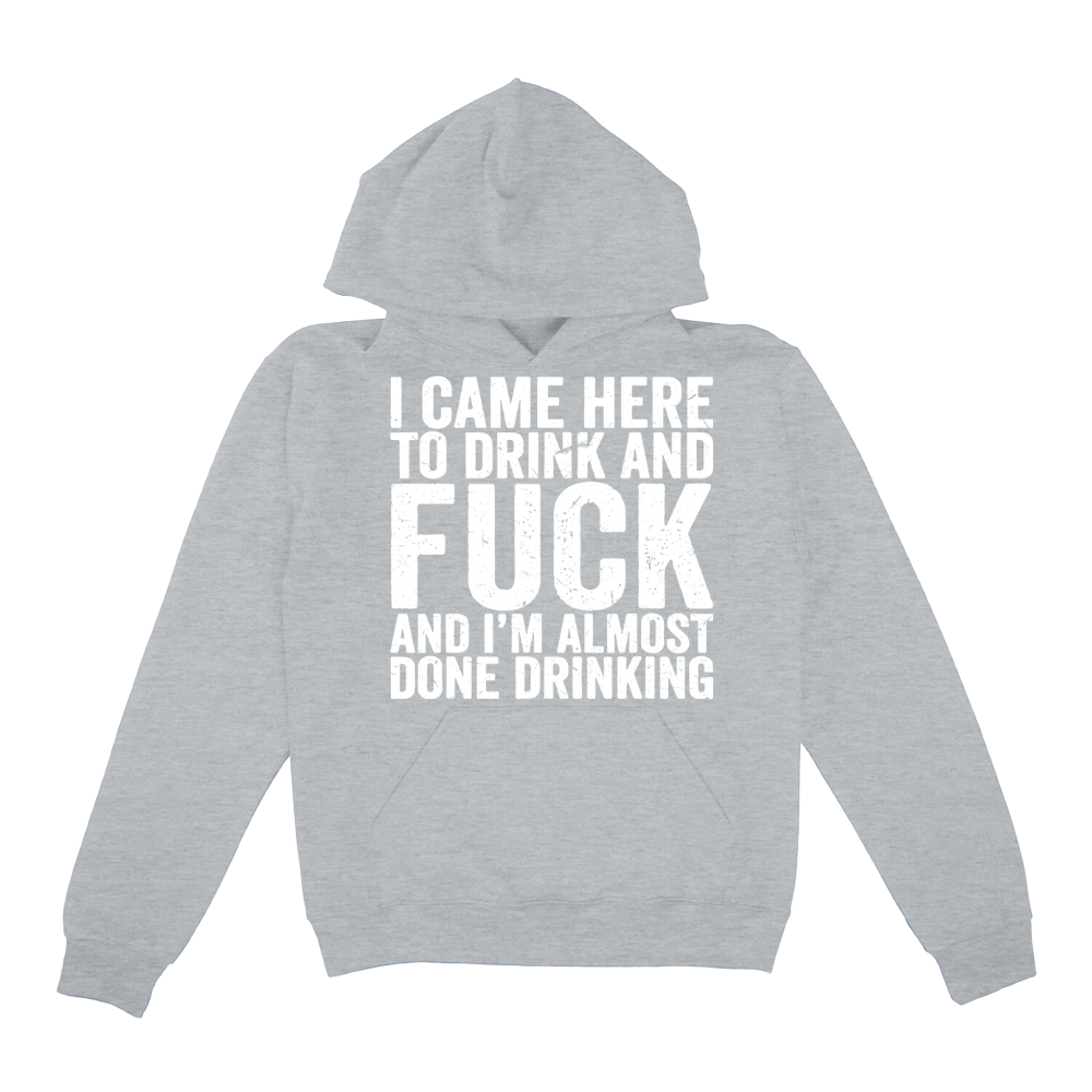 I Came Here To Drink And Fuck Hoodie