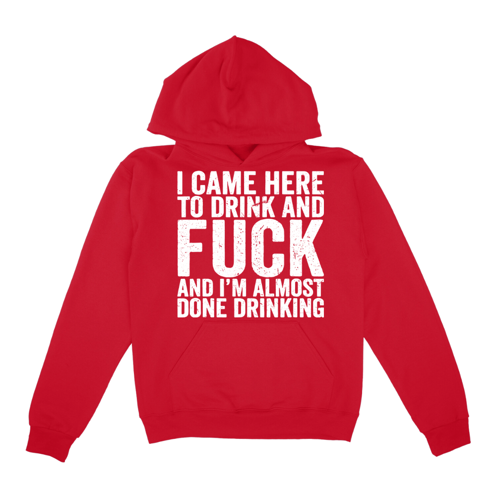 I Came Here To Drink And Fuck Hoodie