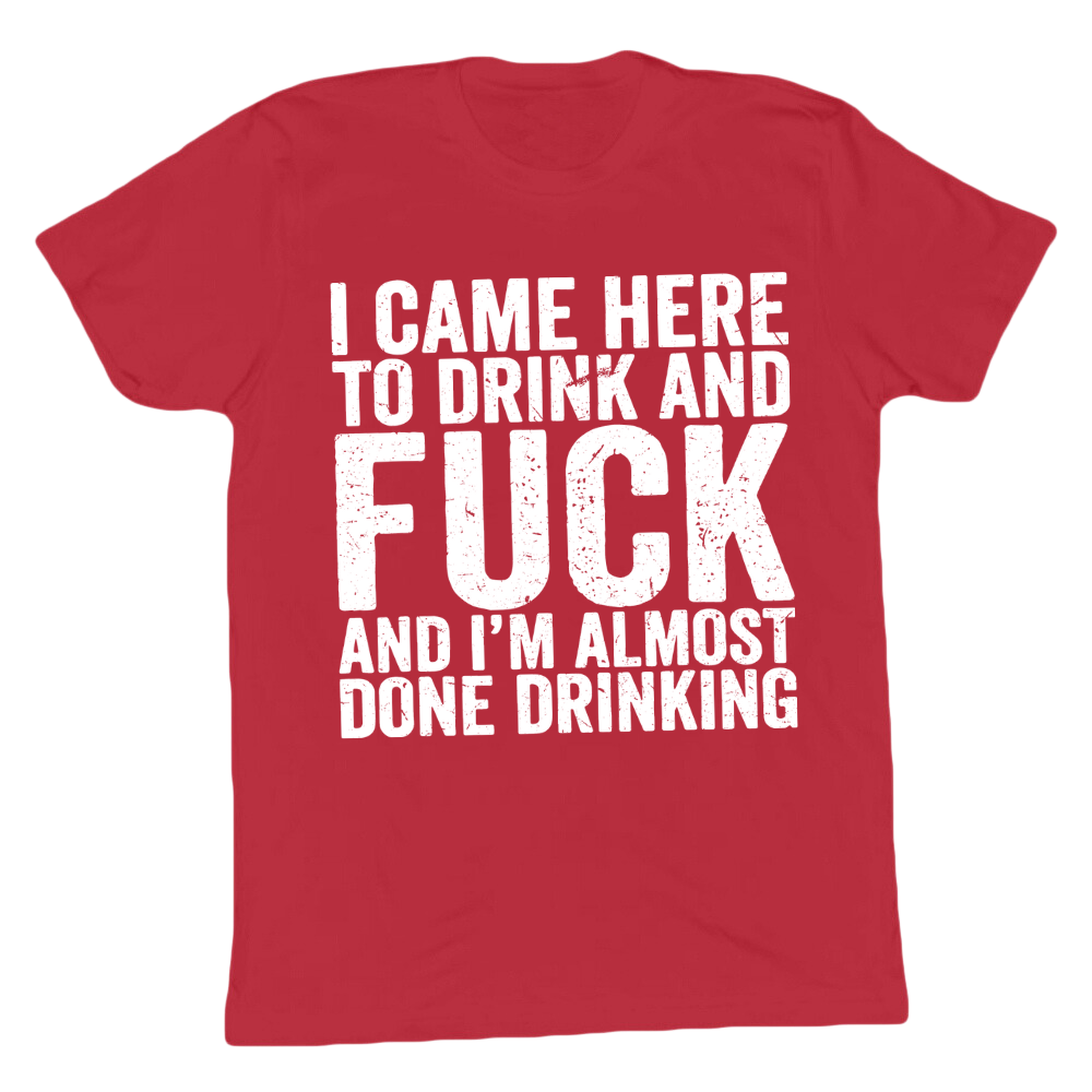I Came Here To Drink And Fuck And Almost Done Drinking T-shirt